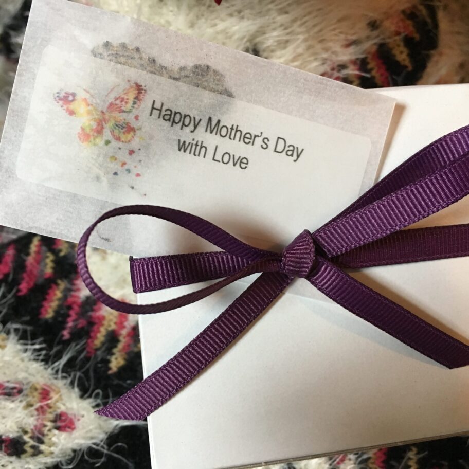 Butterfly Mix Monarch & Painted Lady Butterfly Release Michigan