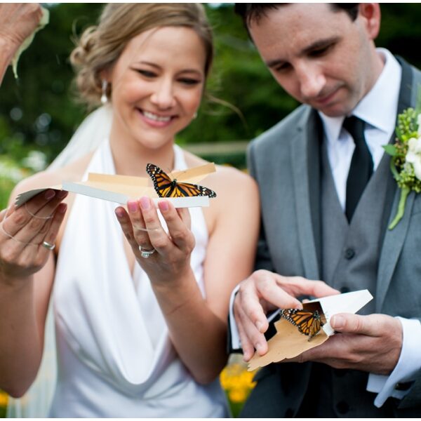 Monarch Butterfly Release Butterfly Release