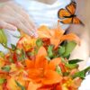 Monarch Butterfly Release